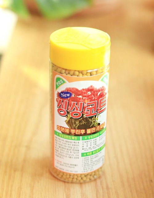 싱싱코트 300g 완효성 미량요소 화분용 알갱이비료 (제조23년8월)